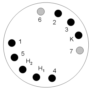 Schema_300